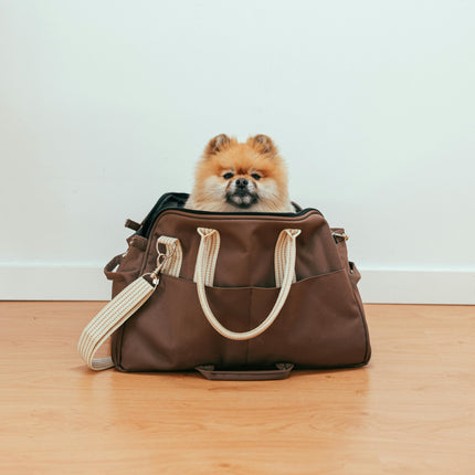 Collection image for: Backpacks & Handbags