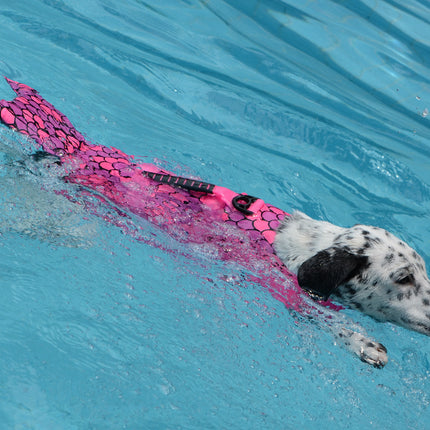 Adjustable Swimwear for Small to Large Dogs