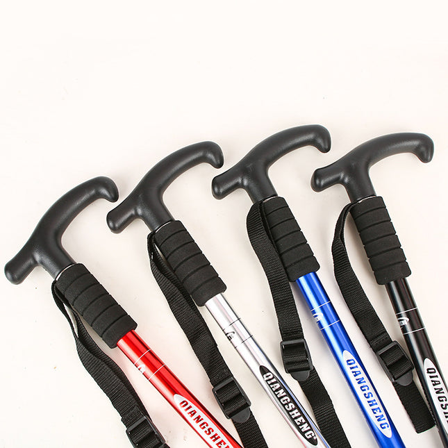 Walking and Trekking Pole Stick
