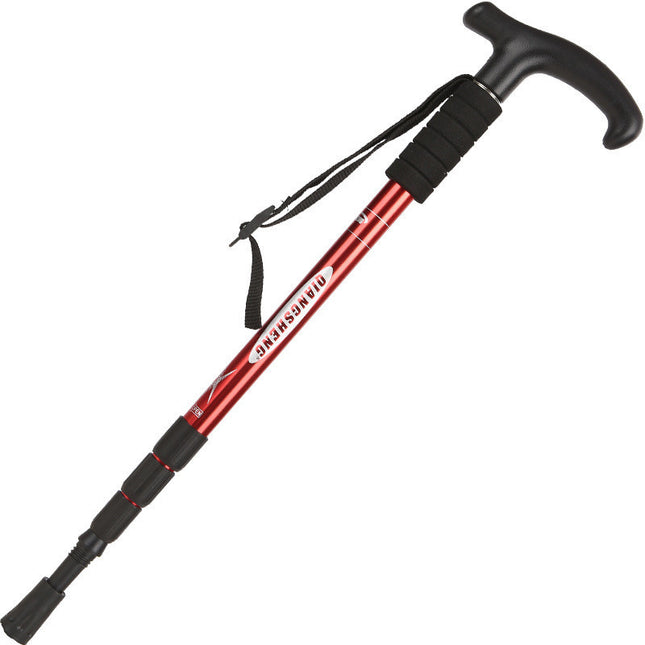 Walking and Trekking Pole Stick