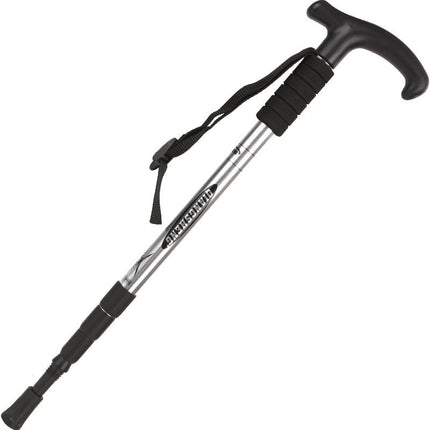 Walking and Trekking Pole Stick