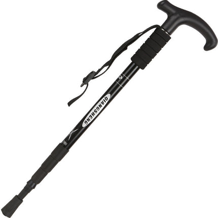 Walking and Trekking Pole Stick