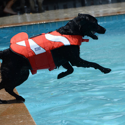 Adjustable Swimwear for Small to Large Dogs