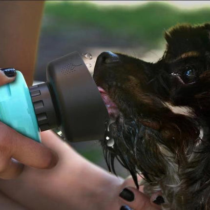 Collection image for: Pet Water Bottles