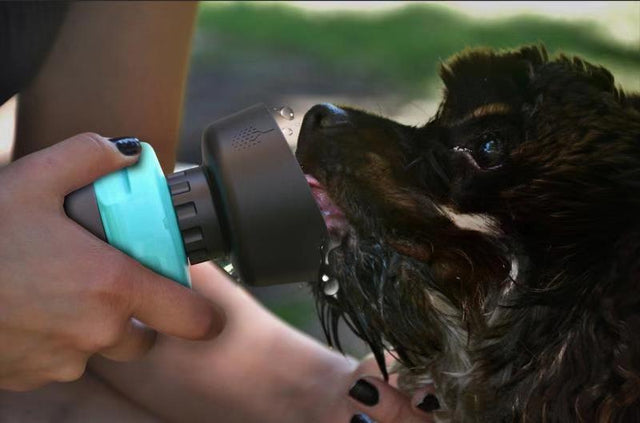 <h5>Spill-free hydration for pets on the go.</h5>