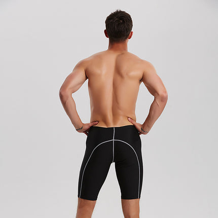 Men's Water Park Plus Size Quick Dry Swim Shorts