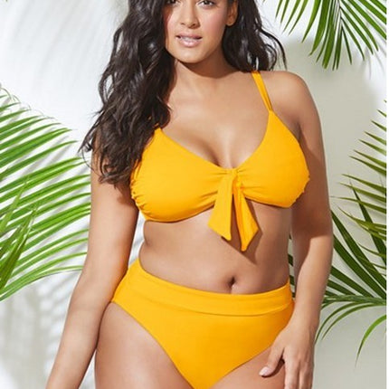 Plus Size Separate Women's Swimsuit Bikini