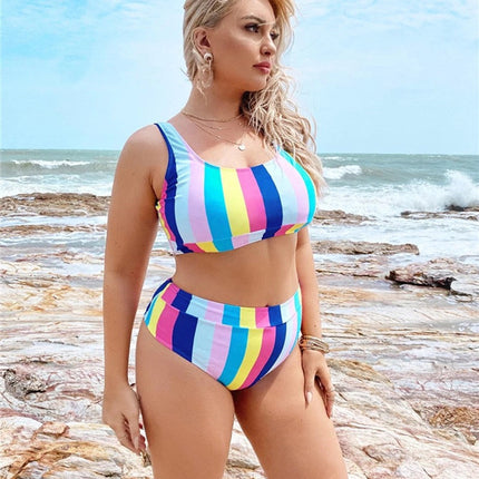 Women's Plus Size Split Bikini