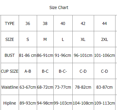 Two-Piece Stylish Bikini Swimsuit Set for Women