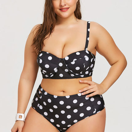 Retro Polka Dot High-rise Bikini Top Bottom Padded Swimsuit Plus Size Swimwear
